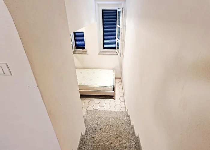 Campo Center 坎普码港